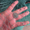 God kvalitet Flettet Green PE Fishing Net